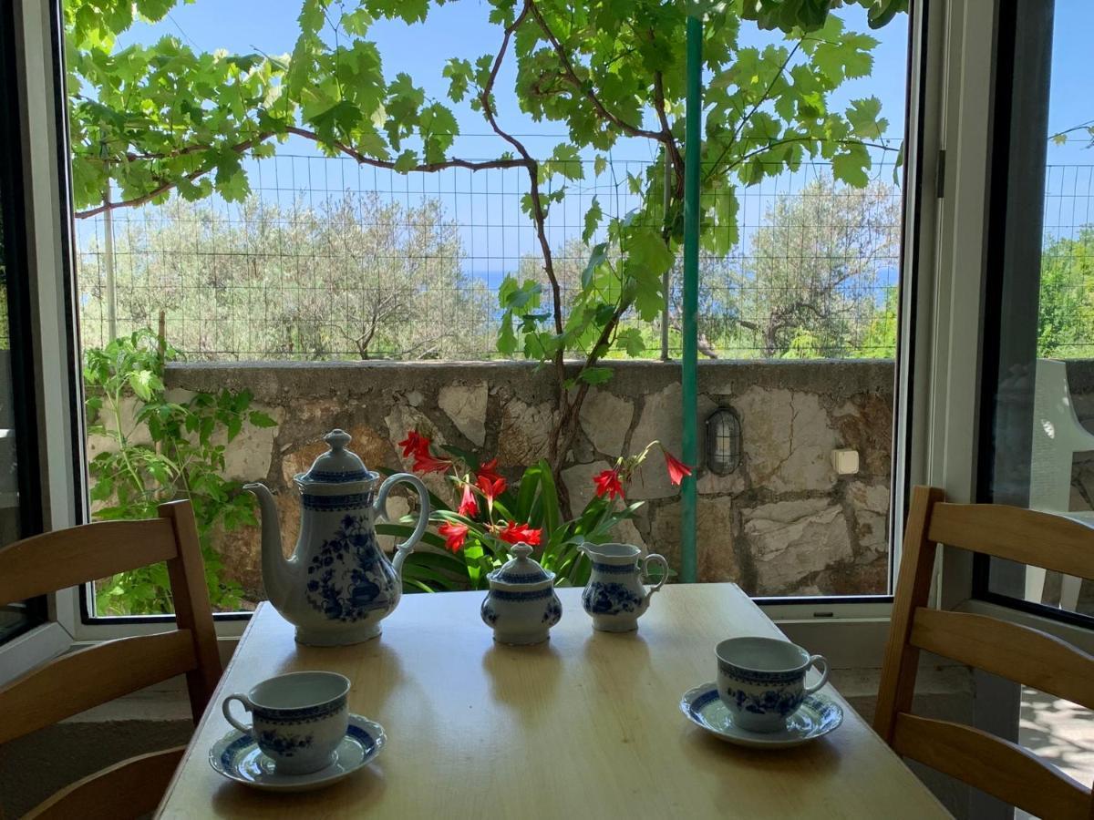Apartments Mirian Petrovac Екстериор снимка
