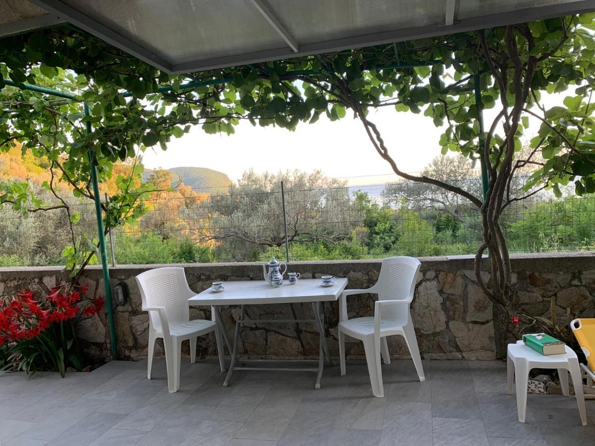 Apartments Mirian Petrovac Екстериор снимка