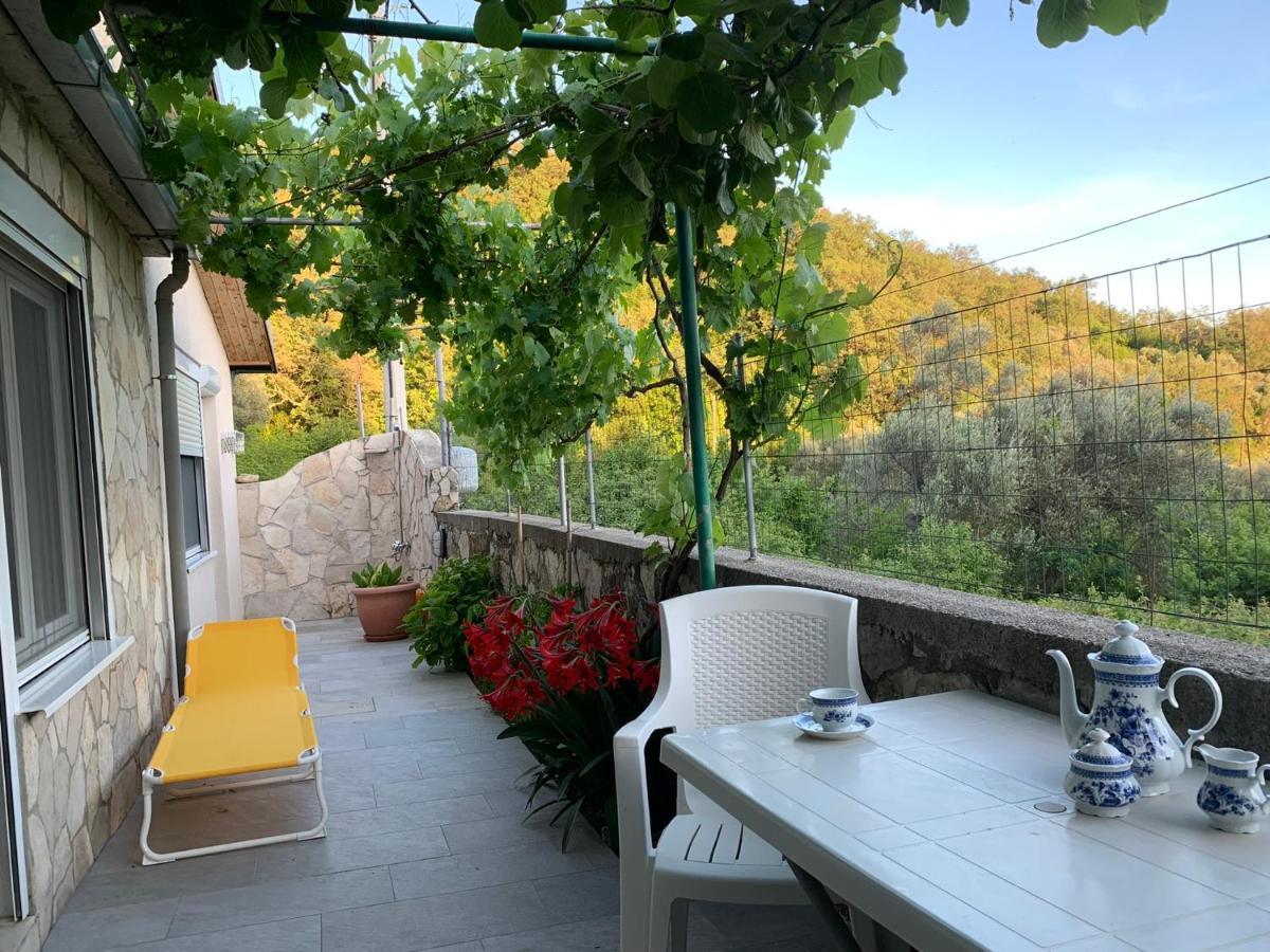 Apartments Mirian Petrovac Екстериор снимка
