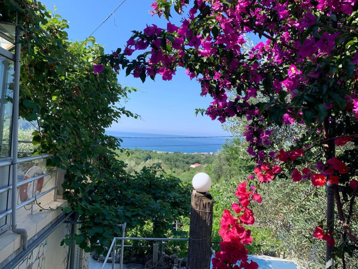 Apartments Mirian Petrovac Екстериор снимка