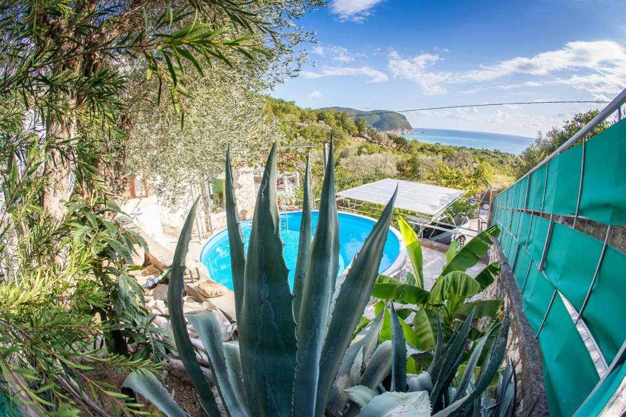 Apartments Mirian Petrovac Екстериор снимка
