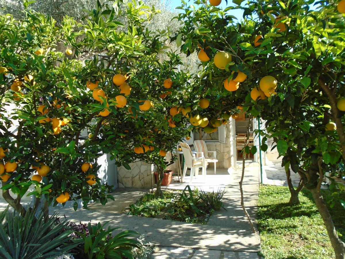 Apartments Mirian Petrovac Екстериор снимка