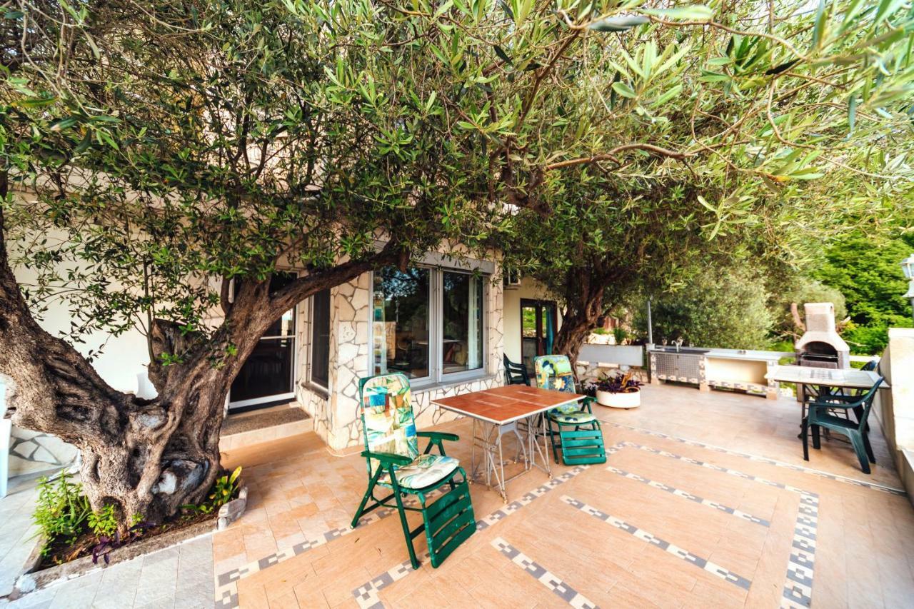Apartments Mirian Petrovac Екстериор снимка